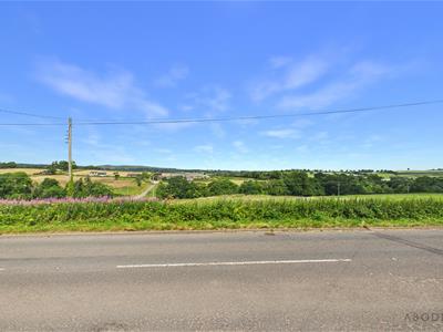 Picture 20